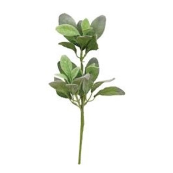 *Lamb’s Ear Pick, 13”, Bundle of 3 - Picture 12 of 13